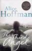 Book cover for "The third angel".