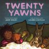 Book cover for "Twenty yawns".