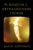 Book cover for "The museum of extraordinary things".
