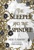 Book cover for "The sleeper and the spindle".