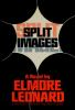 Book cover for "Split images".