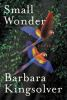Book cover for "Small wonder".