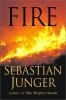 Book cover for "Fire".