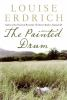 Book cover for "The painted drum".