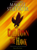 Book Cover for "Call Down the Hawk"